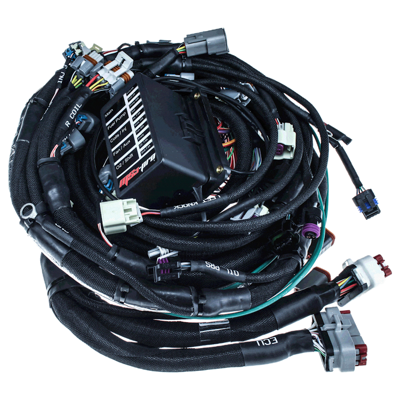 GM LS 24x PNP Harness