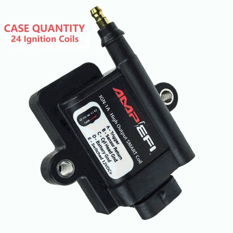 IGN1A Smart Ignition Coil - Case of 24