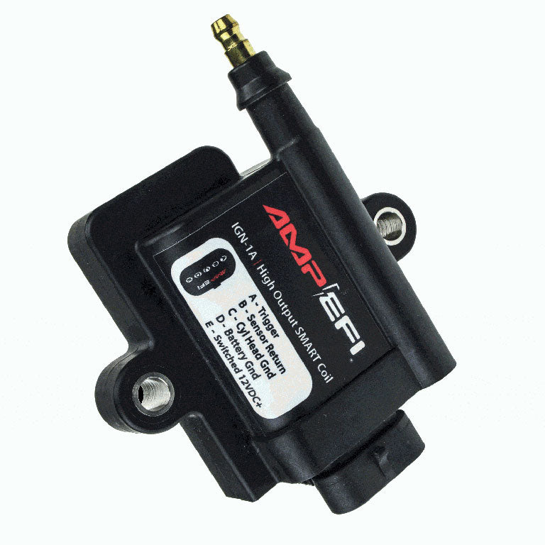 IGN1A Smart Ignition Coil